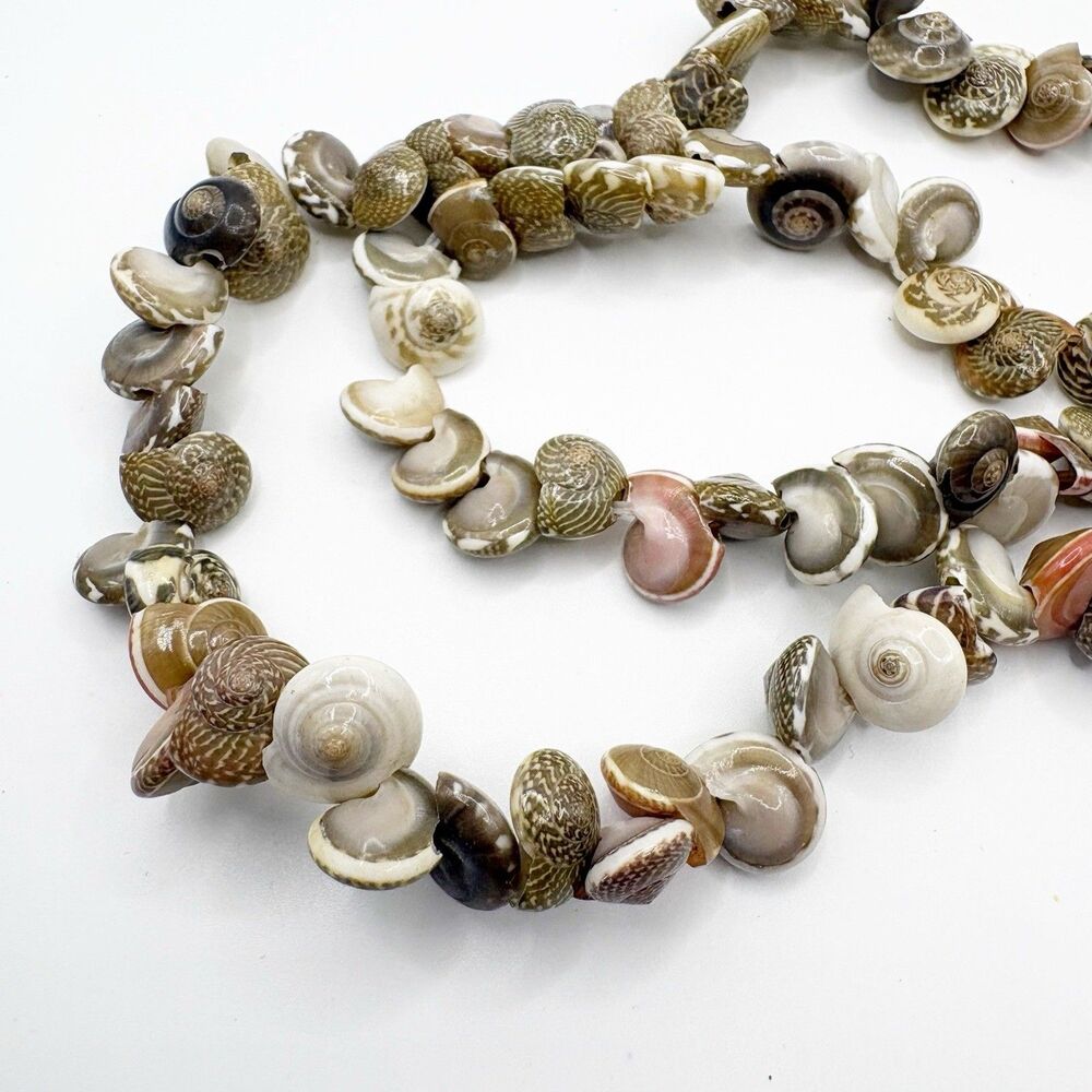 Natural Small Button Swirl Seashell Sea Shell Gray Pink No Clasp 36" Necklace